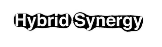 HYBRID SYNERGY logo