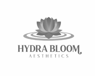 HYDRA BLOOM AESTHETICS logo