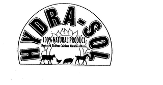 HYDRA-SOL 100% NATURAL PRODUCT HYDRATED SODIUM CALCIUM ALUMINOSILICATE logo