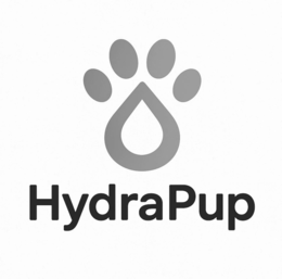 HYDRAPUP logo
