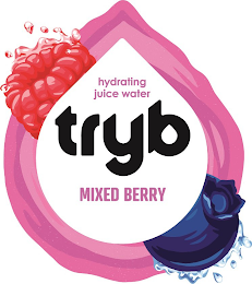 HYDRATING JUICE WATER TRYB MIXED BERRY logo