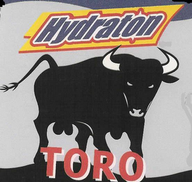 HYDRATON TORO logo