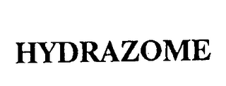HYDRAZOME logo