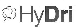 HYDRI logo