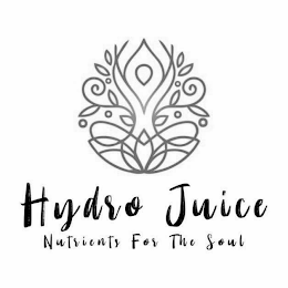 HYDRO JUICE NUTRIENTS FOR THE SOUL logo