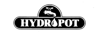 HYDRO POT
