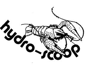 HYDRO-SCOOP logo