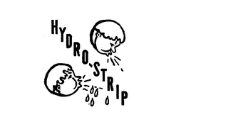 HYDRO-STRIP logo
