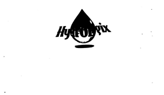 HYDROLOGIX logo