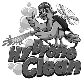 HYDRONE CLEAN logo