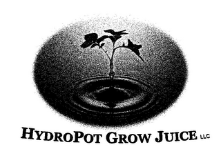 HYDROPOT GROW JUICE LLC logo