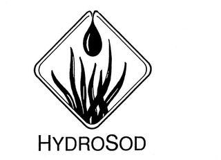 HYDROSOD logo