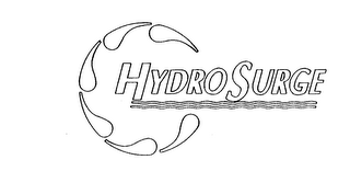 HYDROSURGE logo