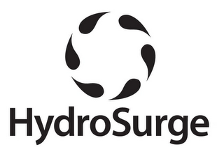 HYDROSURGE logo