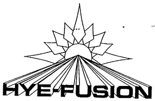 HYE-FUSION logo