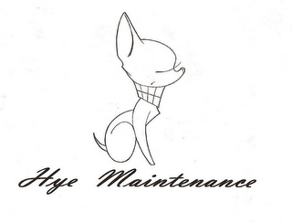 HYE MAINTENANCE logo