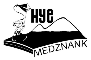 HYE MEDZNANK logo