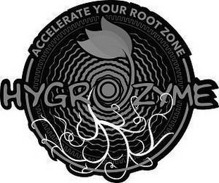 HYGROZYME ACCELERATE YOUR ROOT ZONE logo
