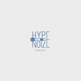 HYPE NOIZE HYPENOIZE.COM logo