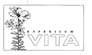 HYPERICUM VITA logo