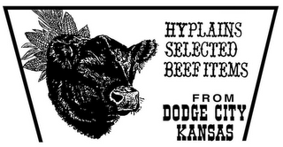 HYPLAINS SELECTED BEEF ITEMS FROM DODGE CITY KANSAS logo
