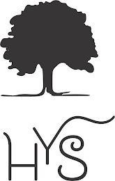 HYS logo