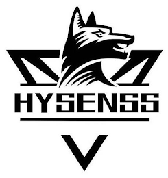 HYSENSS logo