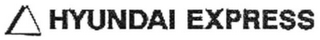 HYUNDAI EXPRESS logo