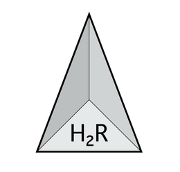 H²R logo