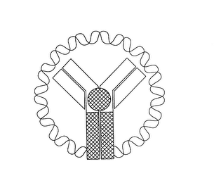 I logo