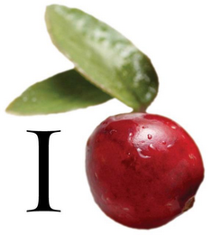 I logo