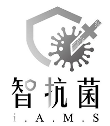 I . A . M . S logo