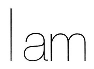 I AM logo