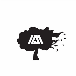 I AM logo