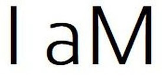 I AM logo
