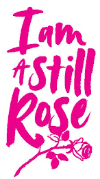 I AM A STILL ROSE logo