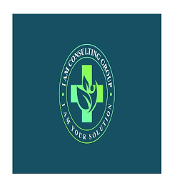· I AM CONSULTING GROUP · I AM YOUR SOLUTION logo