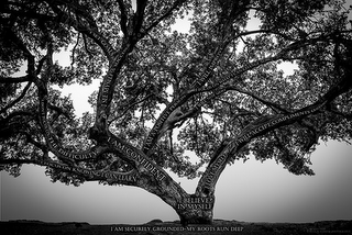 I AM SECURELY GROUNDED, MY ROOTS RUN DEEP. THE BELIEVE IN MYSELF TREE, I SET GOALS, I SEE MYSELF A SUCCESS, I WILL IMPROVE, I FOCUS ON WHAT I CAN CHANGE NOW, I WILL ACCEPT COMPLIMENTS (GRACIOUSLY), I LOVE MYSELF, I AM A POSITIVE PERSON, I WILL NOT QUIT, I AM CONFIDENT, I DON'T FOCUS ON THE DIFFICULTY, I FOCUS ON KNOWING I CAN LEARN, I BELIEVE IN MYSELF logo