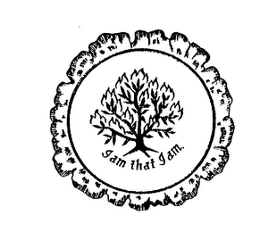 I AM THAT I AM. logo