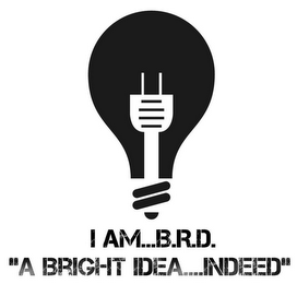 I AM...B.R.D. "A BRIGHT IDEA....INDEED" logo