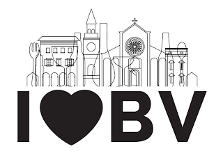 I B V logo
