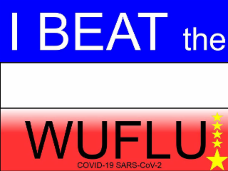 I BEAT THE WUFLU! COVID-19 SARS-COV-2 logo
