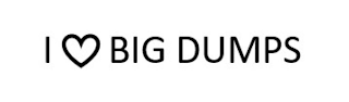 I  BIG DUMPS logo