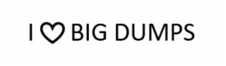 I  BIG DUMPS logo