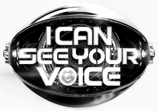 I CAN SEE YOUR VOICE logo