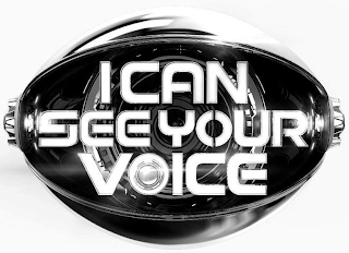 I CAN SEE YOUR VOICE logo