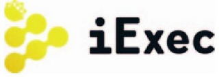 I EXEC logo