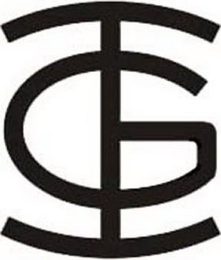 I G logo