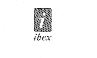 I IBEX logo