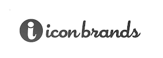 I ICON BRANDS logo